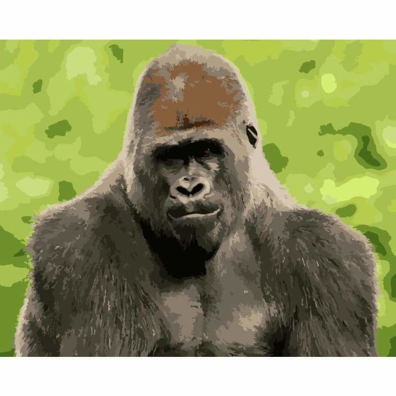 Monkey Diy Paint By Numbers Kits WM-1241 - NEEDLEWORK KITS