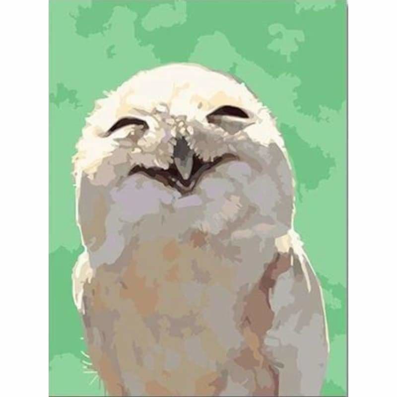 Owl Diy Paint By Numbers Kits PBN97619 - NEEDLEWORK KITS