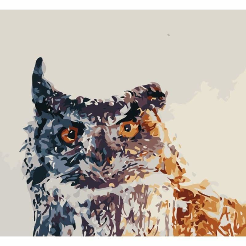 Owl Diy Paint By Numbers Kits SY-4050-012 - NEEDLEWORK KITS
