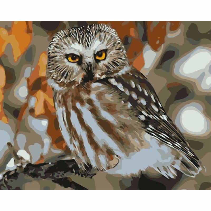 Owl Diy Paint By Numbers Kits WM-340 - NEEDLEWORK KITS