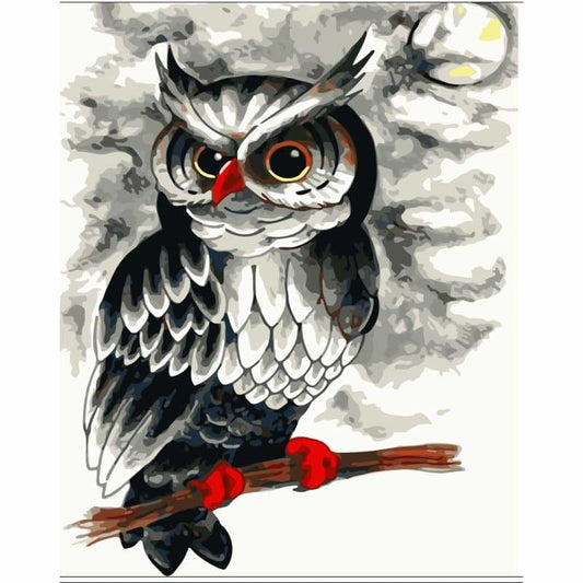 Owl Diy Paint By Numbers Kits WM-373 - NEEDLEWORK KITS