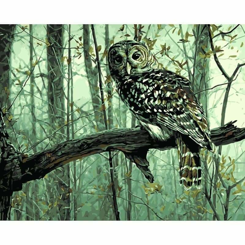 Owl Diy Paint By Numbers Kits WM-581 - NEEDLEWORK KITS