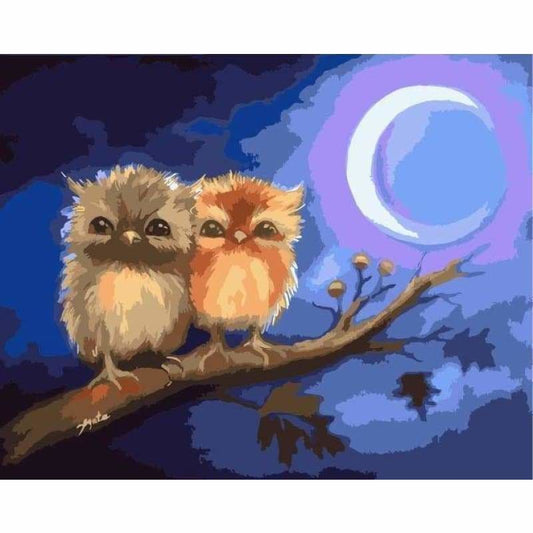 Owl Diy Paint By Numbers Kits WM-620 ZXQ2803 - NEEDLEWORK KITS