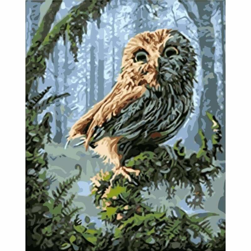 Owl Diy Paint By Numbers Kits WM-902 ZXQ1261 - NEEDLEWORK KITS