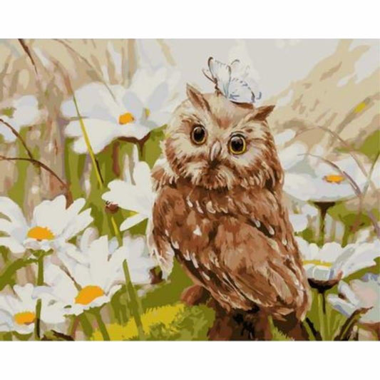 Owl Diy Paint By Numbers Kits ZXQ2097 - NEEDLEWORK KITS