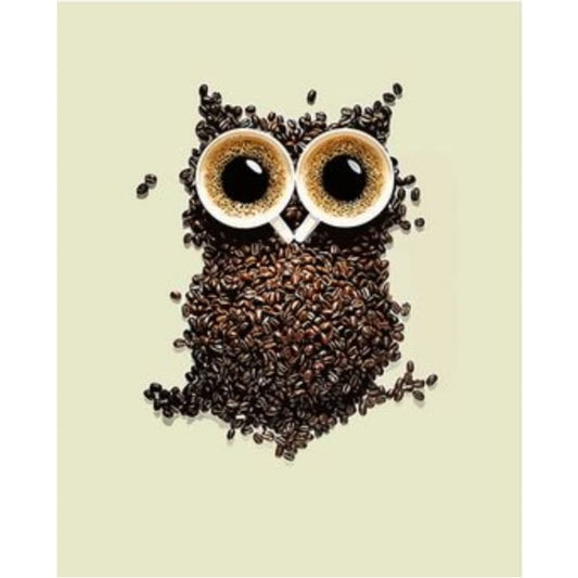 Owl Diy Paint By Numbers Kits ZXQ2794 - NEEDLEWORK KITS