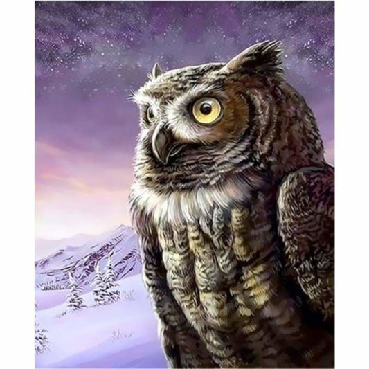 Owl Diy Paint By Numbers Kits ZXQ3360 - NEEDLEWORK KITS