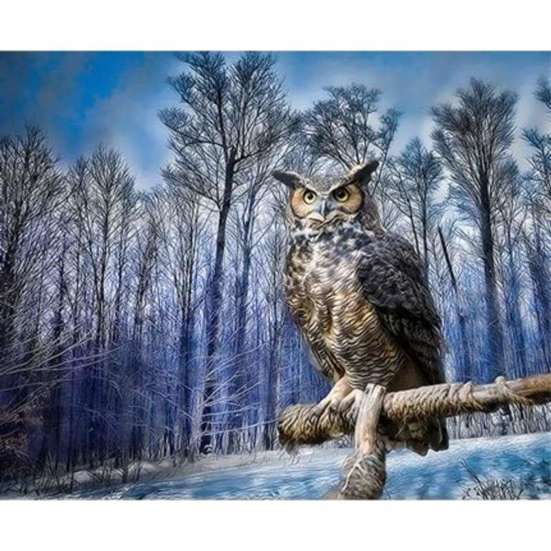 Owl Diy Paint By Numbers Kits ZXQ3445 - NEEDLEWORK KITS