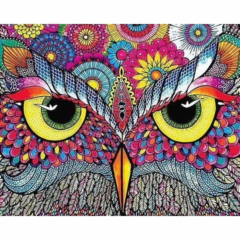 Owl Diy Paint By Numbers Kits ZXQ3933 - NEEDLEWORK KITS