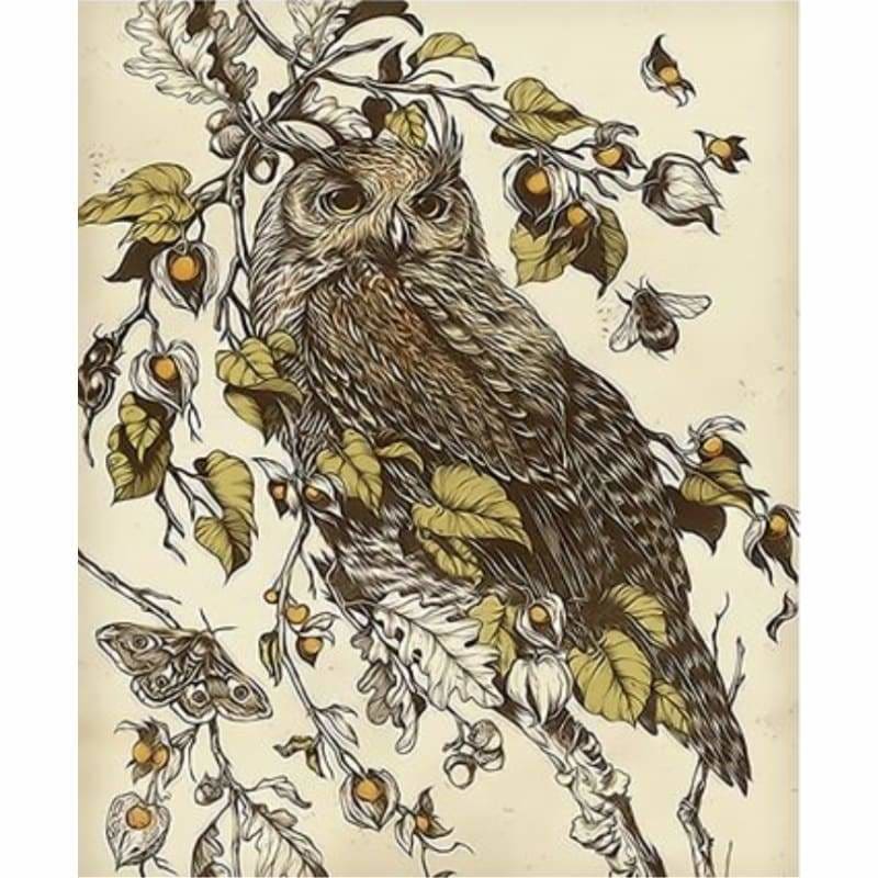 Owl Diy Paint By Numbers Kits ZXQ3994 - NEEDLEWORK KITS