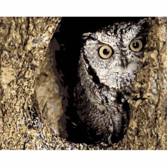 Owl Diy Paint By Numbers Kits ZXQ789 - NEEDLEWORK KITS
