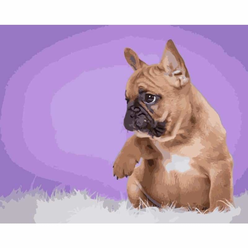 SharPei Diy Paint By Numbers Kits WM-402 - NEEDLEWORK KITS