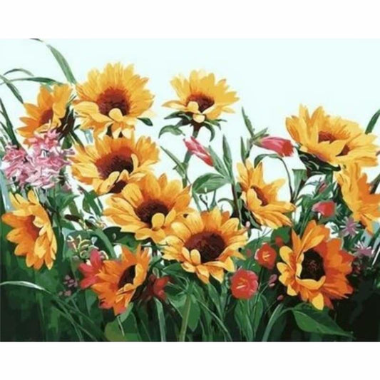 Sunflower Diy Paint By Numbers Kits ZXQ2365 - NEEDLEWORK KITS