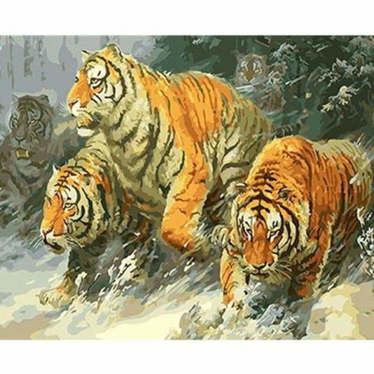 Tiger Diy Paint By Numbers Kits PBN97279 - NEEDLEWORK KITS