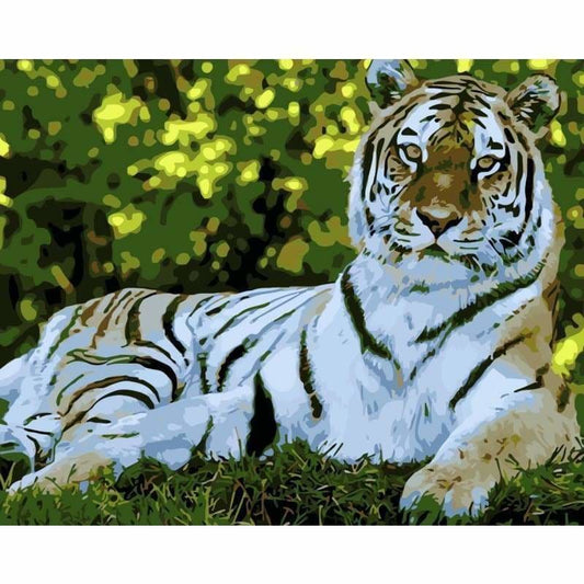 Tiger Diy Paint By Numbers Kits WM-653 - NEEDLEWORK KITS